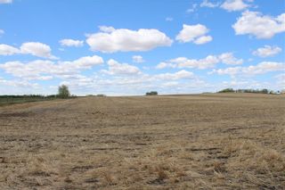 Photo 17: range road 292 in Rural Rocky View County: Rural Rocky View MD Commercial Land for sale : MLS®# A2029807