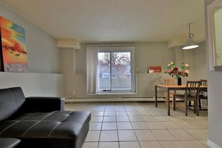 Photo 7: 1 927 19 Avenue SW in Calgary: Lower Mount Royal Apartment for sale : MLS®# A1167766