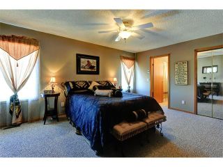 Photo 14: 48 RIVERVIEW Close SE in Calgary: Riverbend House for sale : MLS®# C4019048