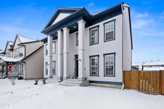Photo 2: 335 Elgin Place SE in Calgary: McKenzie Towne Semi Detached (Half Duplex) for sale : MLS®# A2022749