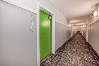 Photo 7: 314 20 Seton Park SE in Calgary: Seton Apartment for sale : MLS®# A2121601