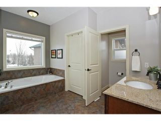Photo 16: 36 Silvertip Gate: Rural Foothills M.D. House for sale : MLS®# C4102875
