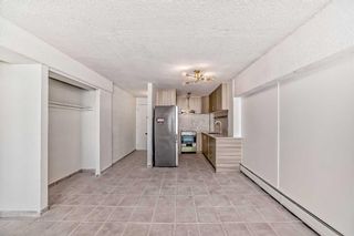 Photo 10: 410 519 17 Avenue SW in Calgary: Cliff Bungalow Apartment for sale : MLS®# A2115449