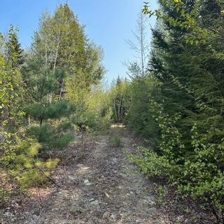 Photo 19: Lot 9EF-2 Raspberry Court in Italy Cross: 405-Lunenburg County Vacant Land for sale (South Shore)  : MLS®# 202309685