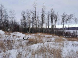 Photo 3: 13195 PARK FRONTAGE Road in Charlie Lake: Lakeshore Land for sale in "CHARLIE LAKE" (Fort St. John)  : MLS®# R2741499