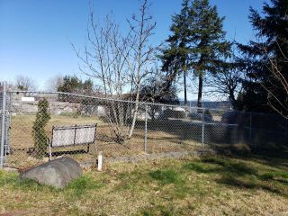 Photo 31: 260 5th Ave in CAMPBELL RIVER: CR Campbell River Central Land for sale (Campbell River)  : MLS®# 836042