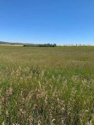 Photo 22: Corner of 96 St W and 242 Ave W: Rural Foothills County Residential Land for sale : MLS®# A2075702