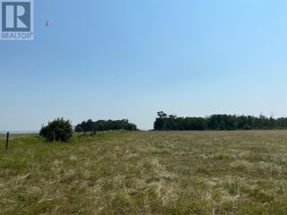 Photo 10: Range Road 23-1 in Rural Lacombe County: Vacant Land for sale : MLS®# A1133348
