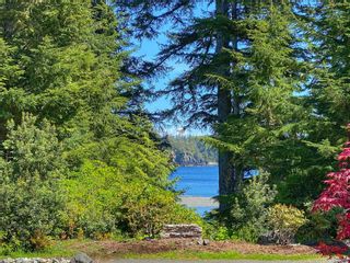 Photo 2: 876 Elina Rd in Ucluelet: PA Ucluelet House for sale (Port Alberni)  : MLS®# 875978