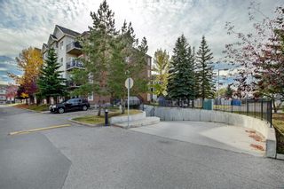 Photo 30: 4104 73 Erin Woods Court SE in Calgary: Erin Woods Apartment for sale : MLS®# A1042999