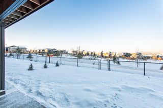 Photo 44: 229 Crestmont Drive SW in Calgary: Crestmont Detached for sale : MLS®# A2014178