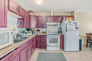 Photo 11: 432 Pinehill Road NE in Calgary: Pineridge Semi Detached (Half Duplex) for sale : MLS®# A2015615