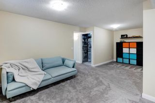 Photo 25: 185 Evansdale Way NW in Calgary: Evanston Detached for sale : MLS®# A2042834