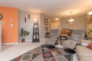 Photo 7: 207 7865 Patterson Rd in Central Saanich: CS Saanichton Condo for sale : MLS®# 895241