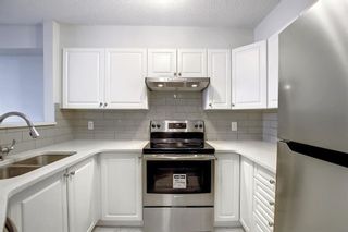 Photo 15: 1112 6635 25 Avenue NE in Calgary: Pineridge Apartment for sale : MLS®# A1177665