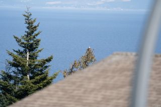 Photo 54: 5666 Oceanview Terr in Nanaimo: Na North Nanaimo House for sale : MLS®# 872466