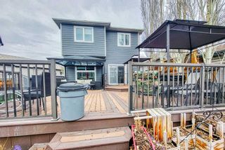 Photo 43: 316 Mt Aberdeen Close SE in Calgary: McKenzie Lake Detached for sale : MLS®# A2130563