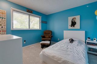 Photo 20: 151 Millrise Drive SW in Calgary: Millrise Detached for sale : MLS®# A1037985