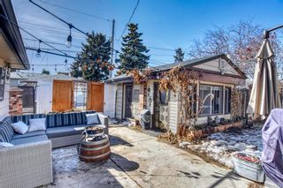 Photo 8: 2115 Mackid Crescent NE in Calgary: Mayland Heights Detached for sale : MLS®# A1080509