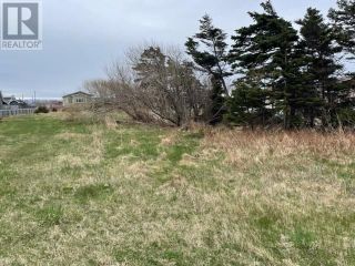 Photo 3: 11 Beach Street in Stephenville Crossing: Vacant Land for sale : MLS®# 1263047