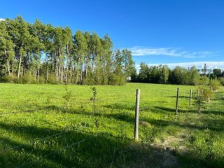Photo 6: LOT A WRIGHT Road in Charlie Lake: Fort St. John - Rural W 100th Land for sale (Fort St. John)  : MLS®# R2700046