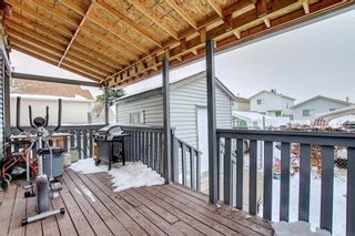 Photo 33: 47 Appleburn Close SE in Calgary: Applewood Park Detached for sale : MLS®# A1049300