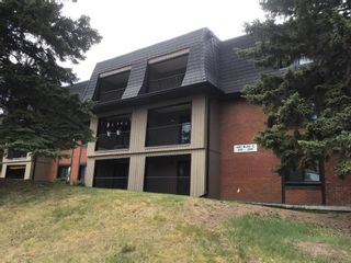 Photo 2: 3303 4001C 49 Street NW in Calgary: Varsity Apartment for sale : MLS®# A2052338