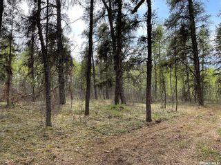 Photo 16: Torch River RM Acreage 5.51 Acres in Torch River: Lot/Land for sale (Torch River Rm No. 488)  : MLS®# SK933277