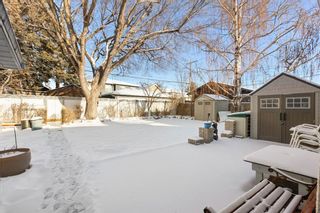 Photo 34: 438 30 Avenue NW in Calgary: Mount Pleasant Detached for sale : MLS®# A2106989
