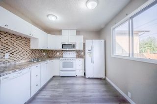 Photo 8: 216 Bermuda Drive NW in Calgary: Beddington Heights Semi Detached (Half Duplex) for sale : MLS®# A1227778