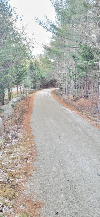 Photo 10: Lot 16 Wells Road in Martins River: 405-Lunenburg County Vacant Land for sale (South Shore)  : MLS®# 202324926