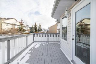 Photo 39: 195 Citadel Manor NW in Calgary: Citadel Detached for sale : MLS®# A2013676