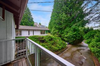 Photo 19: 1295 QUEENS Avenue in West Vancouver: British Properties House for sale : MLS®# R2689373