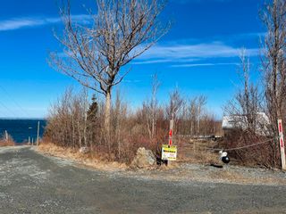 Photo 1: 50 Northumberland Lane in Georgeville: 302-Antigonish County Vacant Land for sale (Highland Region)  : MLS®# 202304562