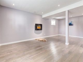 Photo 29: 75 WHITMAN Crescent NE in Calgary: Whitehorn House for sale : MLS®# C4074326