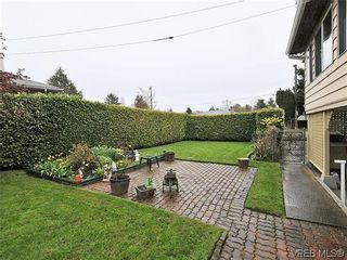Photo 16: 1726 Mortimer St in VICTORIA: SE Cedar Hill House for sale (Saanich East)  : MLS®# 637109