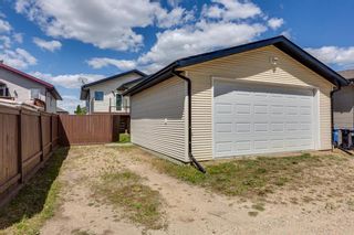 Photo 46: 123 Ireland Crescent: Red Deer Detached for sale : MLS®# A2139920