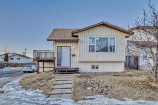Main Photo: 99 Whitehaven Road NE in Calgary: Whitehorn Detached for sale : MLS®# A2025610