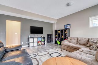 Photo 29: 9 Copperfield Point SE in Calgary: Copperfield Detached for sale : MLS®# A1100718