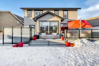 Photo 45: 11 Elgin Estates Cove SE in Calgary: McKenzie Towne Detached for sale : MLS®# A2021191