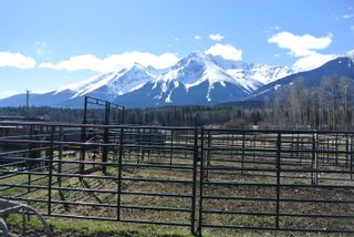 Photo 10: 14971 W 16 Highway in Smithers: Smithers - Rural Agri-Business for sale in "STOREY RANCH" (Smithers And Area (Zone 54))  : MLS®# C8044244