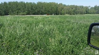 Photo 5: 54228 RR 245: Rural Sturgeon County Vacant Lot/Land for sale : MLS®# E4375925