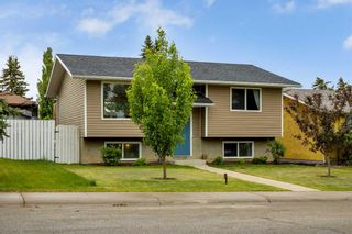 Photo 42: 201 Acacia Drive SE: Airdrie Detached for sale : MLS®# A2141857