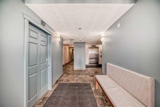 Photo 32: 233 910 Centre Avenue in Calgary: Bridgeland/Riverside Apartment for sale : MLS®# A2127142