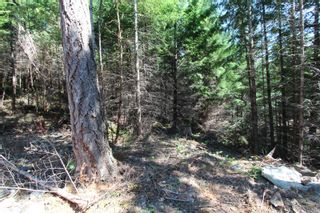 Photo 7: LOT 2 Olympic Dr in Shawnigan Lake: ML Shawnigan Land for sale (Malahat & Area)  : MLS®# 919124