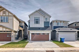 Photo 49: 146 Homestead Park NE in Calgary: C-686 Detached for sale : MLS®# A2128607