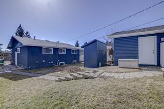 Photo 32: 4603 Namaka Crescent NW in Calgary: North Haven Detached for sale : MLS®# A2120610
