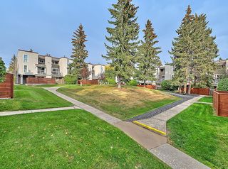 Photo 47: 803 13104 Elbow Drive SW in Calgary: Canyon Meadows Row/Townhouse for sale : MLS®# A2004003