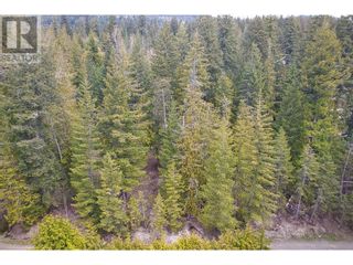 Photo 7: 7566 Lonneke Trail in Anglemont: Vacant Land for sale : MLS®# 10310704