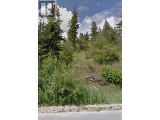 Photo 4: 66 Twin Lakes Road in Enderby: Vacant Land for sale : MLS®# 10271027